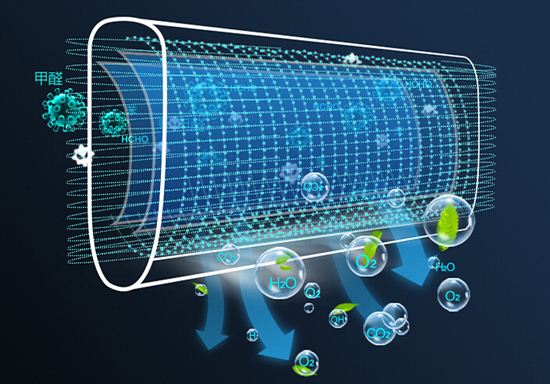 timg (2).jpg timg (2).jpg