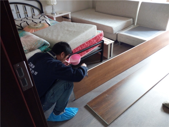 如何去除甲醛？洋蔥可以除甲醛嗎